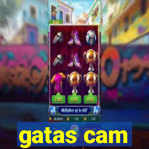 gatas cam